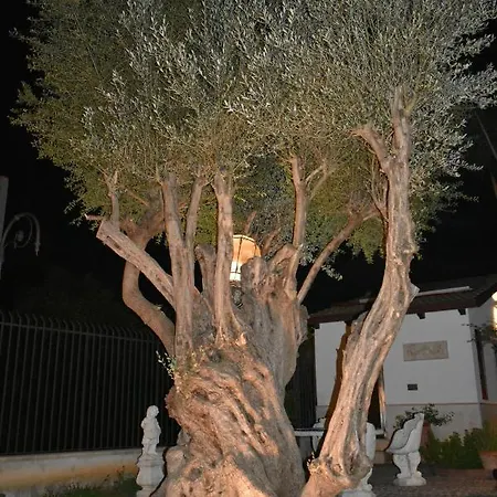 Villa Caterina Torretta (Sicily)
